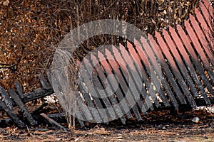 Australian bushfire aftermath: Burnt fence