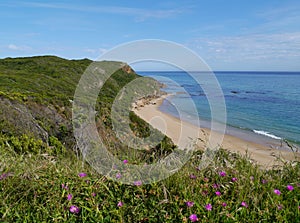 The australian Cape Otway