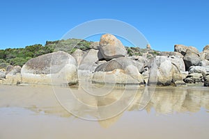 Australian coast in Wilson Promontory National Park