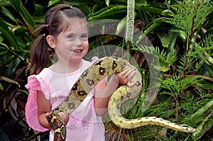 Australian Coastal Carpet Python