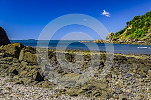 Australian coastal landscape