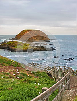Australian coastline
