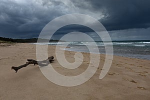 Australian Coastline Park Beach background