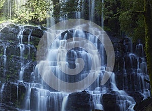 Australian Cool Temperate Rainforest Base of water fall - Nelson Falls