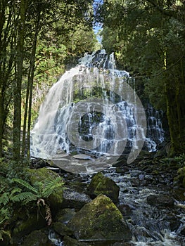Australian Cool Temperate Rainforest water fall - Nelson Falls