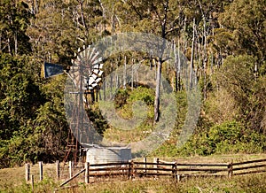 Australian countryside with gumtrees and windmill