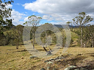 Australian countryside landscape