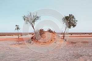 Australian desert landscape