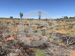 Australian desert near Uluru