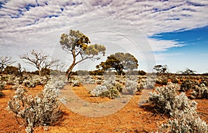 The Australian desert, the outback