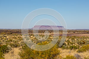 Australian desertic land and a rock formation in the Red Center with golden grass and bushes, Red Center, Australia photo