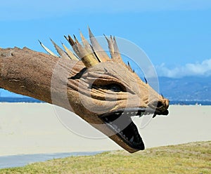 Australian Didgeridoo Dragon Head