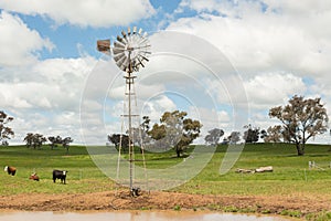 Australian farm windmill and grassland