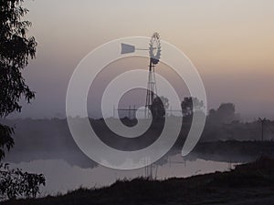 Australian fog day