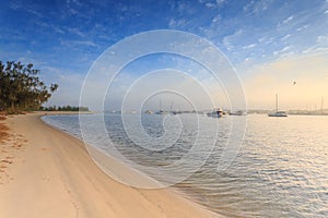 Australian foggy morning at Broadwater photo