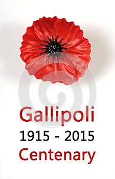 Australian Gallipoli Centenary, WWI, April 1915, tribute with red poppy lapel pin badge photo