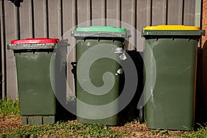 Australian garbage wheelie bins with red and yellow lids for general and recycling household waste and green lid for garden waste
