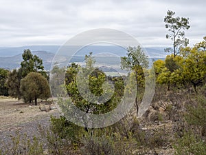 Australian great outdoors, featuring rolling hills, rugged landscape and patchy woodlands