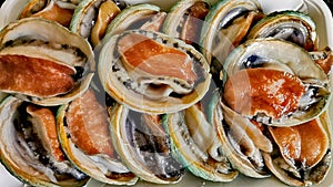 Australian Greenlip Abalones in a pack