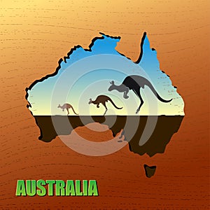 Australian kangaroo photo