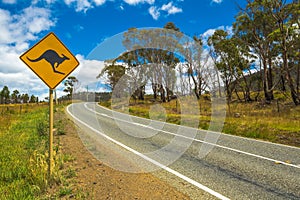 Australian Kangaroo Crossing