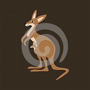 Australian kangaroo with cute baby.  Marsupials animals hand drawn vector illustration. Wildlife mom and child.