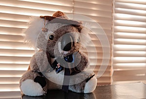 an australian koala bear doll