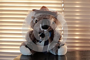 an australian koala bear doll