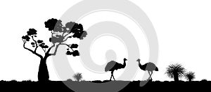 Australian landscape. Black silhouette of emu ostrich on white background. The nature of Australia