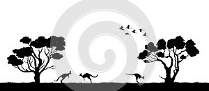 Austrálsky. čierny silueta z stromy a klokan na bielom. príroda z 