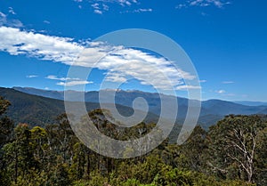 Australian landscape of native trees in snow capped mountains with white clouds and big blue sky.