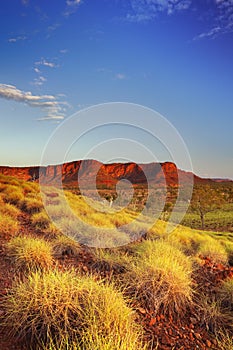 Australian landscape in Purnululu National Park, Western Austral