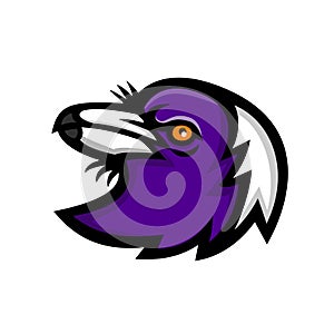 Australian Magpie Head Mascot