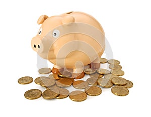 Australian Money Piggy Bank photo