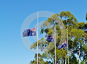 The Australian national flag half-mast