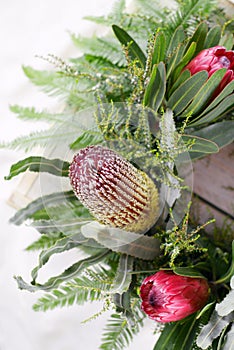 Australian Native Flowers photo