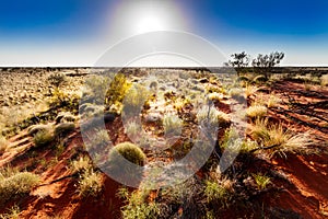 Australian outback