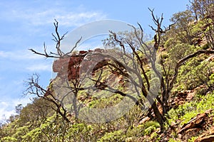 Australian Outback. Kings Canyon, Northern Territory, Watarrka National Park, Australia