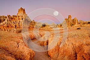 Australian outback landscape