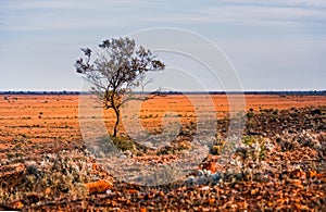 Australian outback landscape near Broken Hill photo