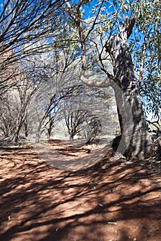 Australian Outback, Northern Territory, Australia