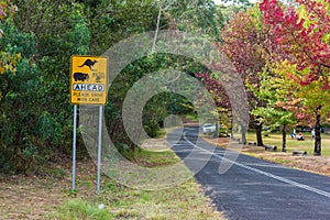 Australian outback road with Wildlife ahead road sign