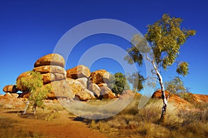 Australian Outback