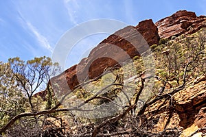 Australian outback, wilderness area in Kings Canyon, Northern Territory, Watarrka National Park, Australia