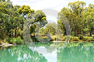 Australian outdoor bushland setting with large pond