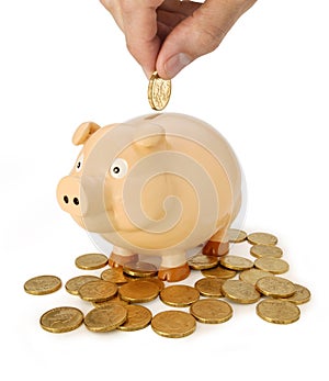 Australian Piggy Bank Savings Money