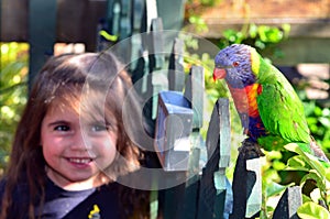 Australian Rainbow Lorikeet