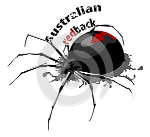 Australian redback spider