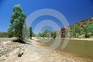 Australian river view