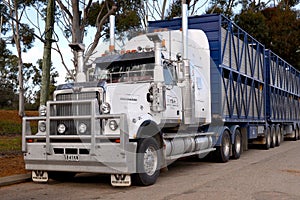 Australian road train Western Star rig and trailers